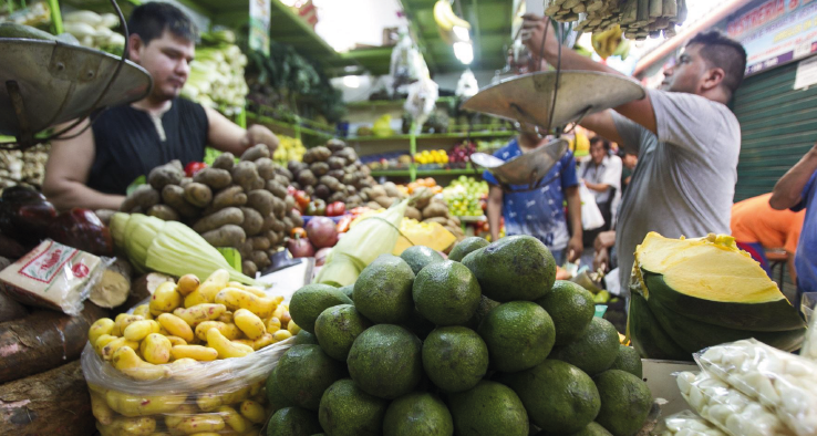 Nutrición sobre ruedas: Descubre los beneficios del bocadillo de guayaba en  el ciclismo - CiclismoU23