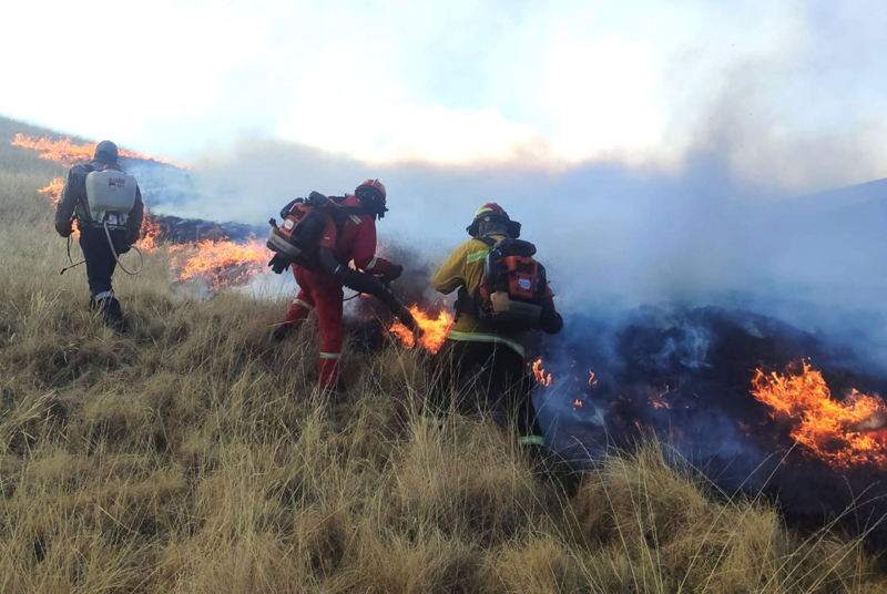 Incendios forestales en la sierra del Perú: el clima cambió las reglas del fuego